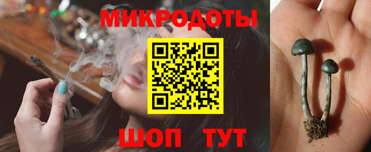 Псилоцибиновые грибы Magic Shrooms Вышний Волочёк
